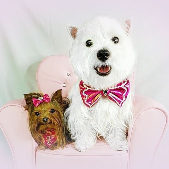 Meet your Posher, Rahjeena - Picture 13 of 16